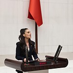 gizem özcan suça sürüklenen çocuk, chp muğla milletvekili gizem özcan, gizem özcan komisyon açıklaması, suça sürüklenen çocuklar