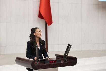 gizem özcan suça sürüklenen çocuk, chp muğla milletvekili gizem özcan, gizem özcan komisyon açıklaması, suça sürüklenen çocuklar