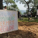 Gökova Ekoloji Meclisi, Gökova Ekoloji Meclisi akyaka, Akyaka Orman Kampı, Gökova Ekoloji Meclisi açıklama, akyaka ağaç kesimi