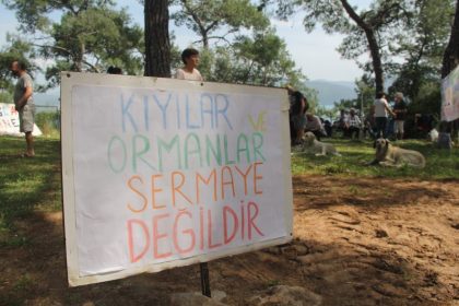 Gökova Ekoloji Meclisi, Gökova Ekoloji Meclisi akyaka, Akyaka Orman Kampı, Gökova Ekoloji Meclisi açıklama, akyaka ağaç kesimi