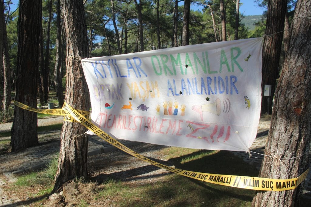 akyaka, akyaka orman kampı, akyaka orman kampı güncel, akyaka orman kampı son durum, gökova ekoloji meclisi