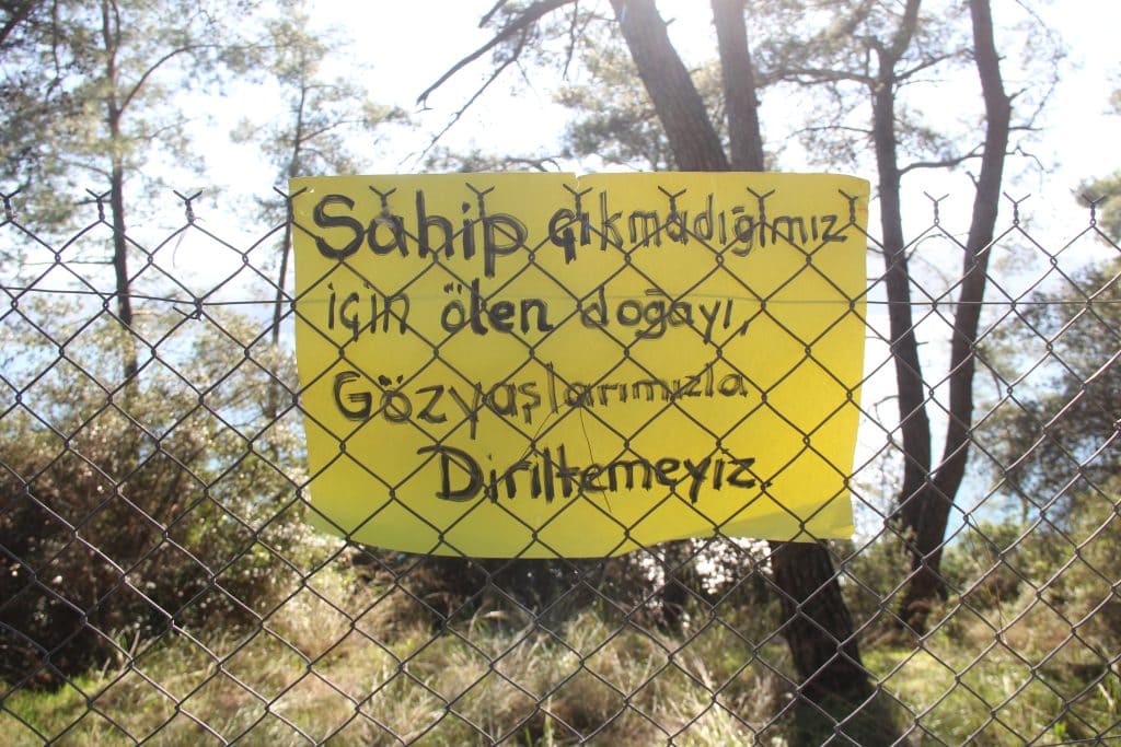 akyaka orman kampı akyaka gökova ekoloji meclisi serdar denktaş neşe yüzüak