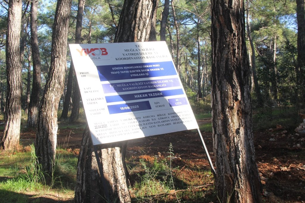 akyaka orman kampı, akyaka, gökova ekoloji meclisi, akyaka orman, akyaka kamp