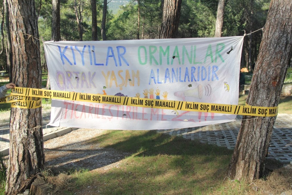 akyaka orman kampı, akyaka, gökova ekoloji meclisi, akyaka orman, akyaka kamp