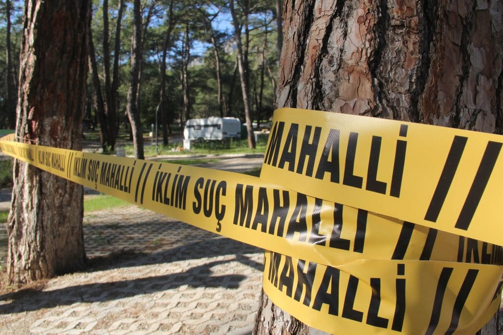 akyaka orman kampı, akyaka, gökova ekoloji meclisi, akyaka orman, akyaka kamp