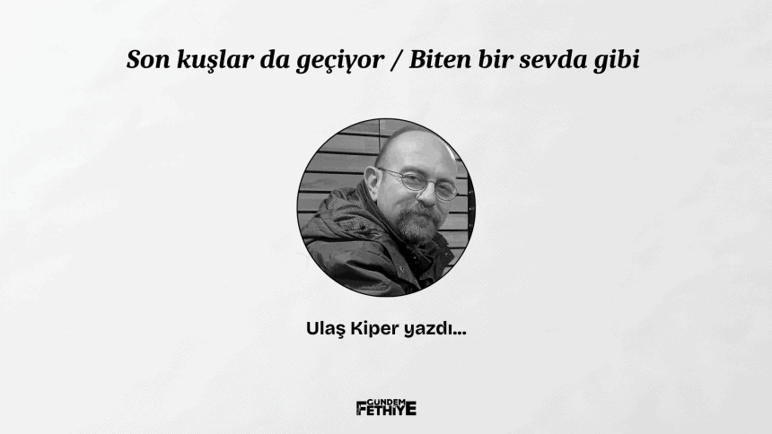 çalış kuş cenneti ulaş kiper