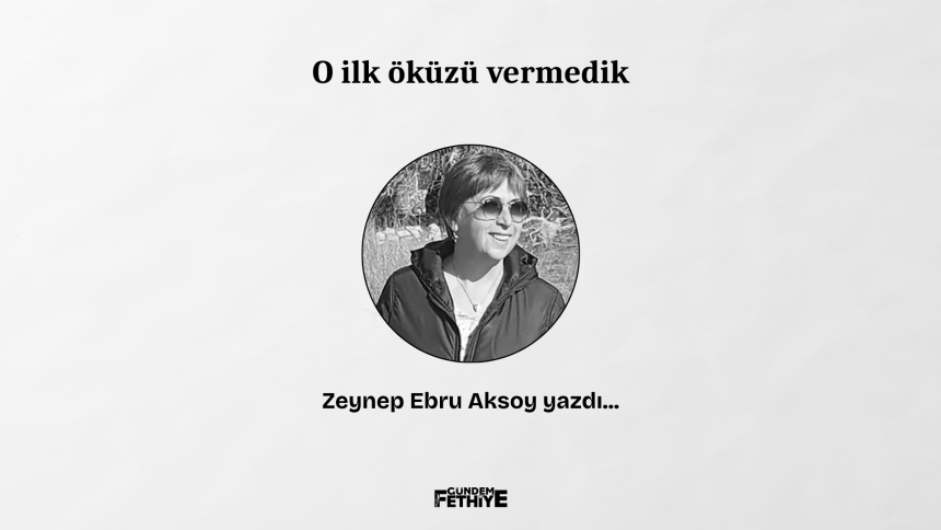 zeynep ebru aksoy köşe yazısı o ilk öküzü vermedik
