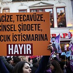 istanbul erkek lisesi, tbmm, tbmm taciz, bodrum kadın dayanışma derneği, mecliste taciz
