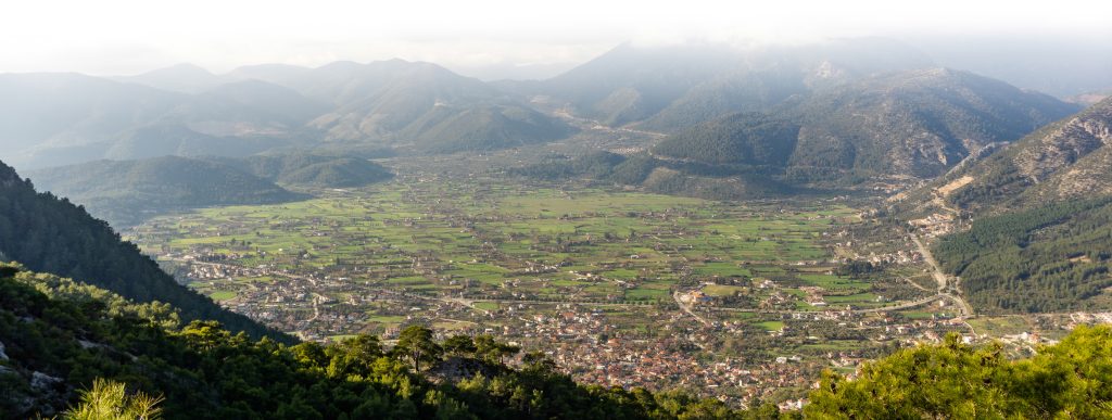 zeynep ebru aksoy köşe yazısı o ilk öküzü vermedik