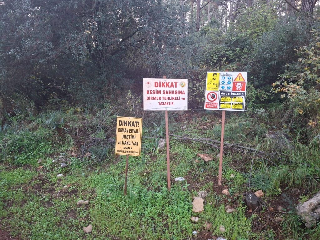 Gökova Ekoloji Meclisi,  Gökova Ekoloji Meclisi akyaka, Akyaka Orman Kampı, Gökova Ekoloji Meclisi açıklama, akyaka ağaç kesimi