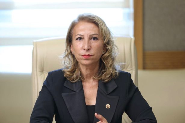 süreyya öneş derici akyaka