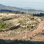 akbelen zeytin sökümü ikizköy zeytin nejla ışık