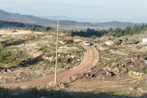 akbelen zeytin sökümü ikizköy zeytin nejla ışık