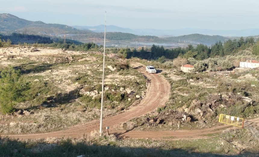 akbelen zeytin sökümü ikizköy zeytin nejla ışık
