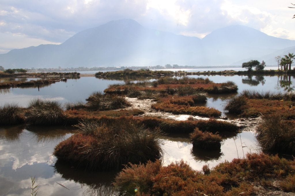 çalış kuş cenneti ulaş kiper 