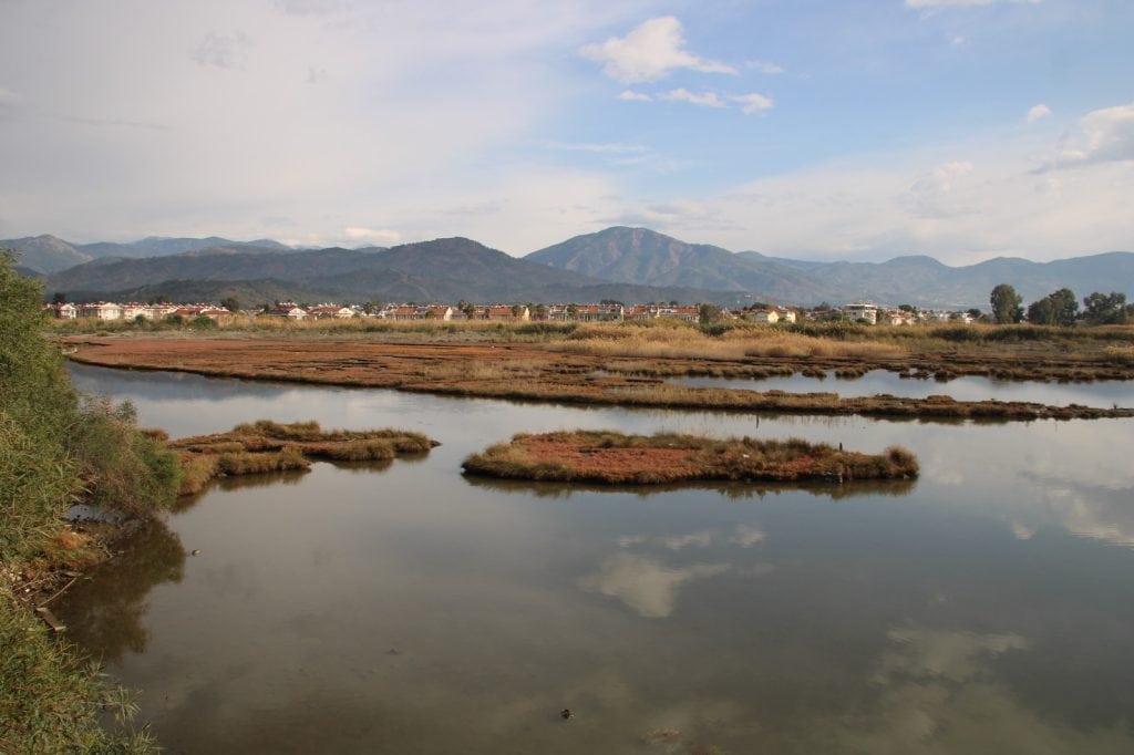 çalış kuş cenneti ulaş kiper 