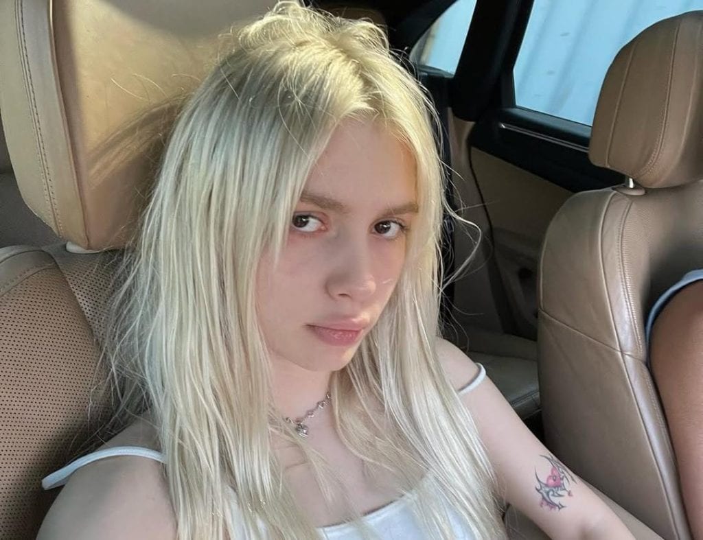 aleyna tilki kimdir, aleyna tilki nereli, aleyna tilki kaç yaşında, aleyna tilki neden tutuklandı, aleyna tilki