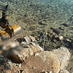 bodrum deniz kaplumbağası caretta caretta torba