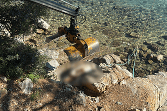 bodrum deniz kaplumbağası caretta caretta torba