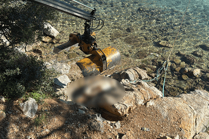 bodrum deniz kaplumbağası caretta caretta torba