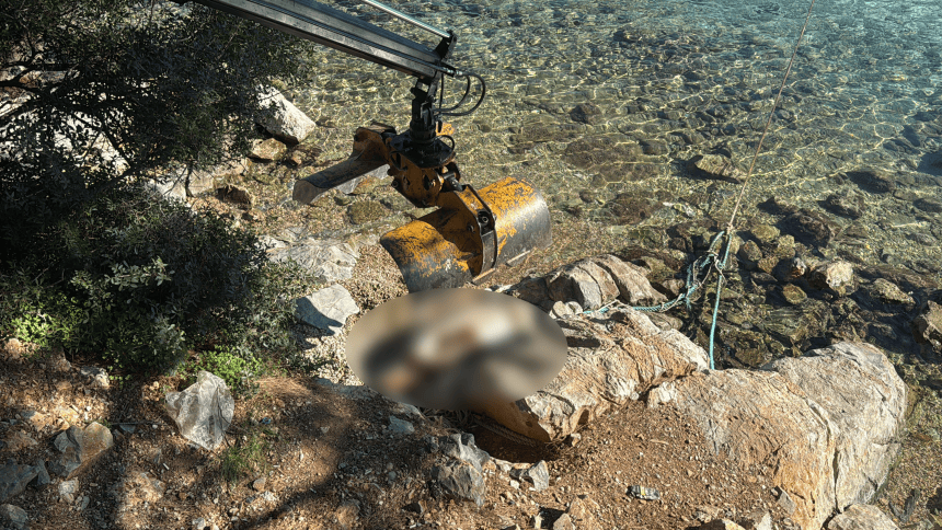 bodrum deniz kaplumbağası caretta caretta torba