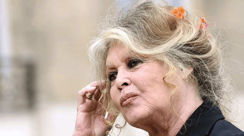 brigitte bardot, brigitte bardot 2025, brigitte bardot son hali, brigitte bardot filmleri, brigitte bardot kimdir