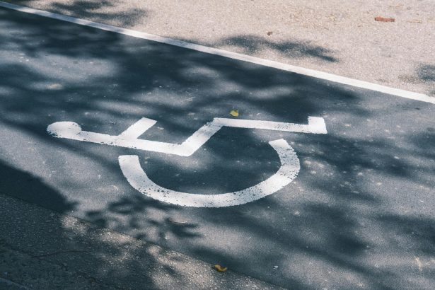 ortaca 3 aralık dünya engelliler günü, ortaca dünya engelliler günü etkinlikleri, ortaca engelliler günü etkinlikleri, ortaca 3 aralık etkinlikler, ortaca belediyesi engelliler günü