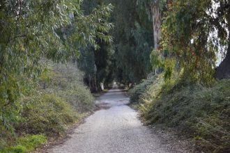 perihan koca, orman sınırı, orman sınırları dışına çıkarılan alanlar, orman, dem parti