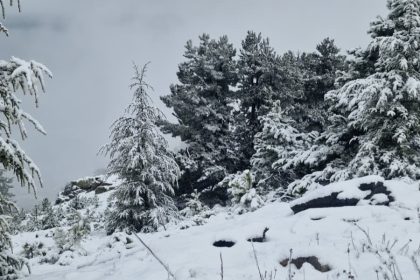 mgm 15 il için sarı kodlu uyarı, hava durumu antalya, muğla hava durumu, aydın hava durumu, meteoroloji genel müdürlüğü