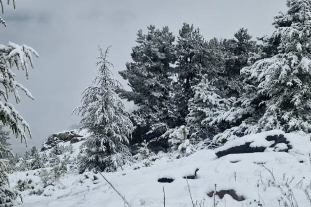 mgm 15 il için sarı kodlu uyarı, hava durumu antalya, muğla hava durumu, aydın hava durumu, meteoroloji genel müdürlüğü