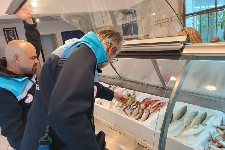 muğla su ürünleri, muğla su ürünleri denetimi, balıkçılık denetimleri, muğla tarım ve orman müdürlüğü, muğla