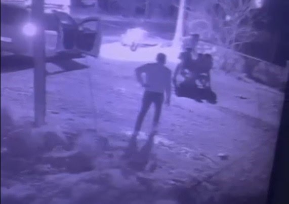 bodrum kavga, bodrum bıçaklı kavga, bodrum, bodrum akraba kavgası, bodrumda kavga