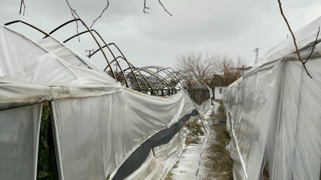 seydikemer sera, seydikemer kumluova, seydikemer kumluova mahallesi, seydikemer kumluova mahallesi sera, seydikemer kumluova sera