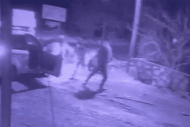 bodrum kavga, bodrum bıçaklı kavga, bodrum, bodrum akraba kavgası, bodrumda kavga