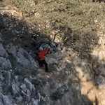 seydikemer keçi, seydikemer kurtarılan keçi, seydikemerde kurtarılan keçi, seydikemer yediburunlar, seydikemer