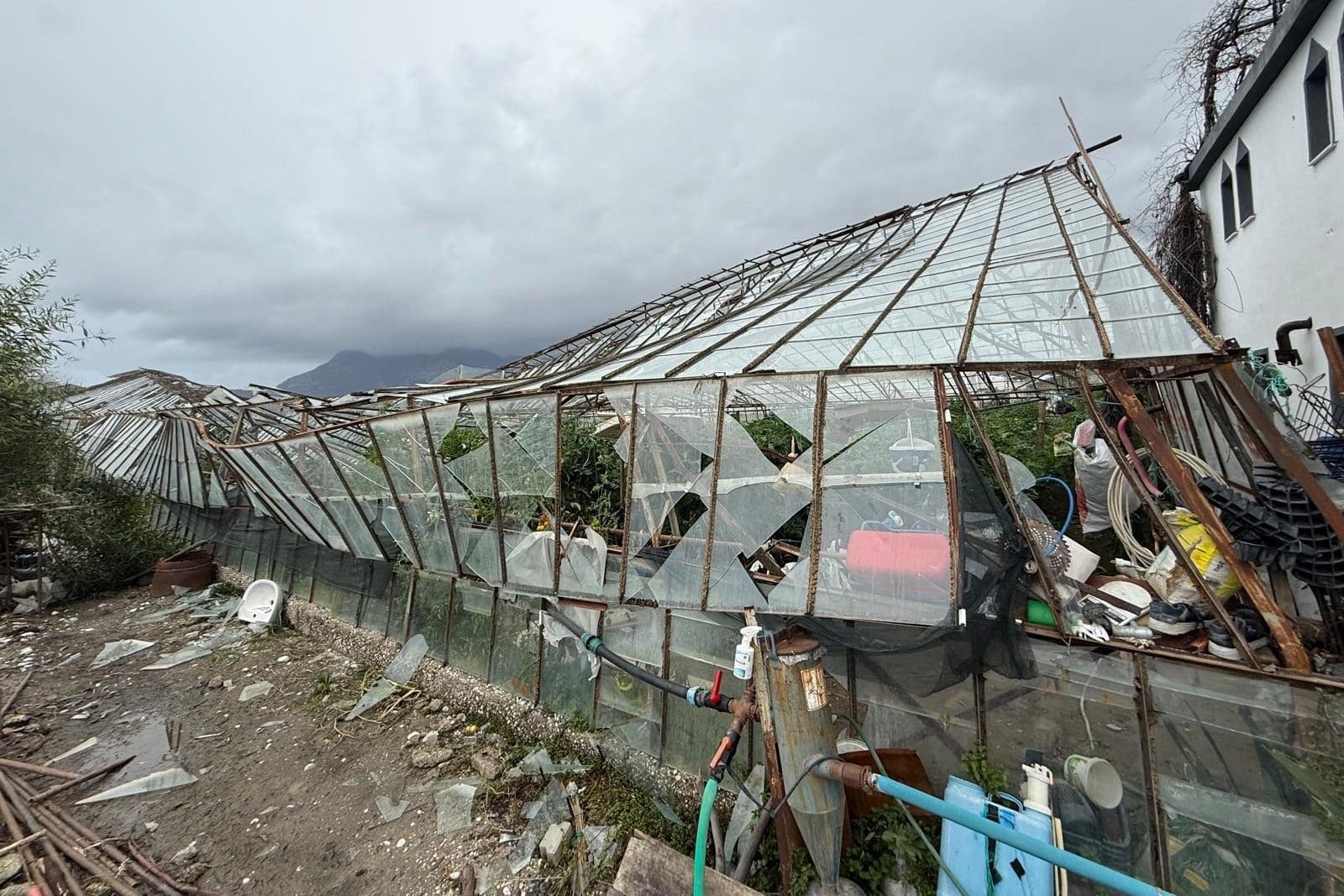 seydikemer hortum, seydikemer, seydikemer sera, seydikemer zarar gören seralar, gizem özcan