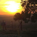 akbelen, akbelen direnişi, akbelen nerede, milas, muğla büyükşehir belediye başkanı