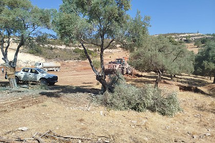 ikizköy zeytin söküm, akbelen zeytin sökülmesi soru önergesi