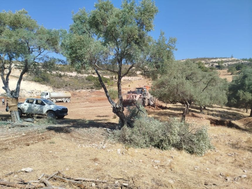 ikizköy zeytin söküm, akbelen zeytin sökülmesi soru önergesi