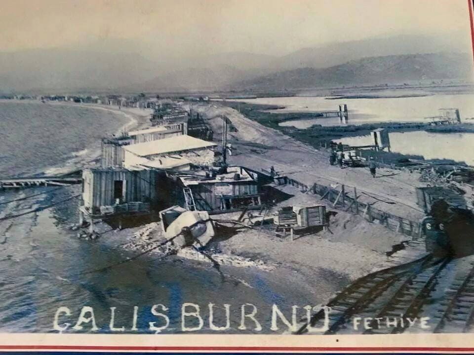 çalış kuş cenneti, şat burnu, fethiye kuş cenneti, fethiye kuş cenneti köşe yazısı, ulaş kiper