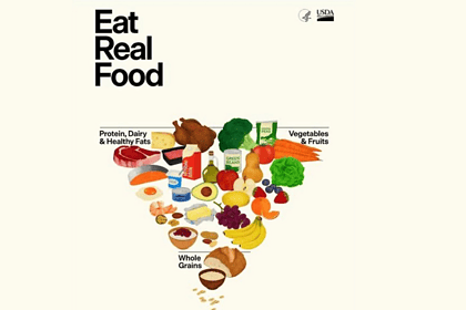 yeni beslenme piramidi, besin piramidi, yeni besin piramidi, beslenme piramidi, abd besin piramidi