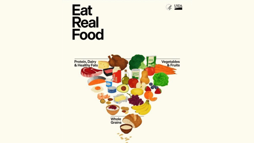 yeni beslenme piramidi, besin piramidi, yeni besin piramidi, beslenme piramidi, abd besin piramidi