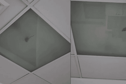 fethiye devlet hastanesi fare haşere