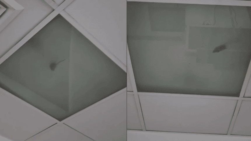 fethiye devlet hastanesi fare haşere