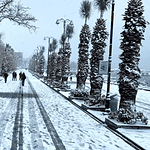 baraj doluluk oranları baraj doluluk istanbul baraj doluluk oranı iski baraj doluluk oranları istanbul baraj doluluk