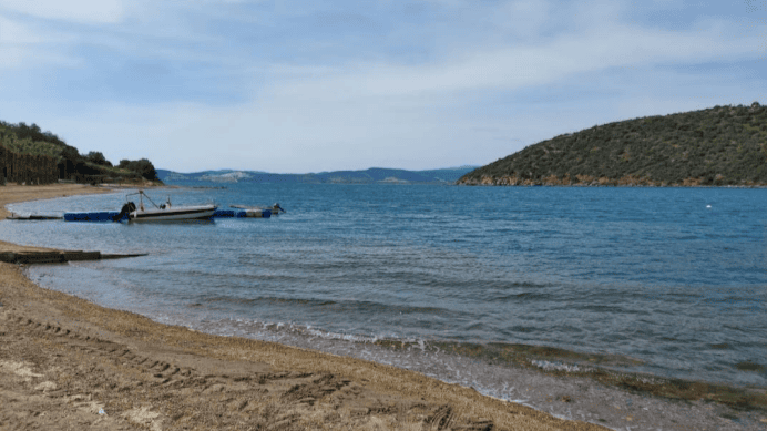 boğaziçi balıkçı barınağı, boğaziçi balıkçı barınağı projesi, milas boğaziçi balıkçı barınağı, bargilya tuzlası, milas boğaziçi 