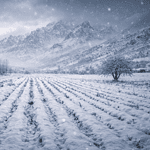 zemheri ayı ne zaman, zemheri ne zaman, zemheri ayı hangi ay, zemheri ne zaman başlar ne zaman biter, zemheri ayı