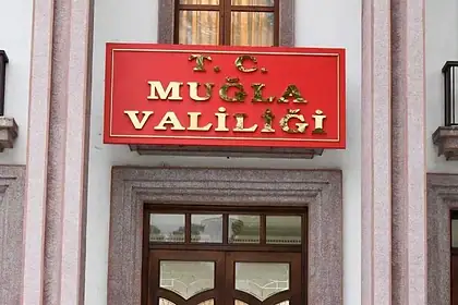 muğla valiliği, muğla valiliği inceleme, milas zeytin ağacı, milas zeytin ağacı kesimi, chp milas ilçe başkanı