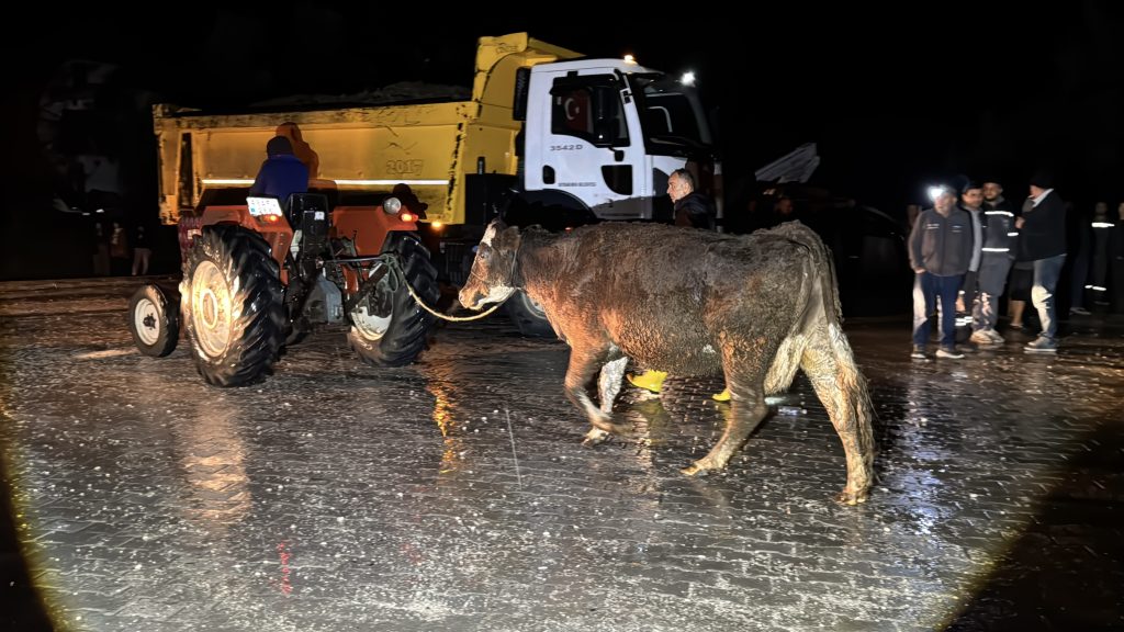seydikemer çukurincir, seydikemer sel, seydikemer sağanak, seydikemer, seydikemer eşen çayı 