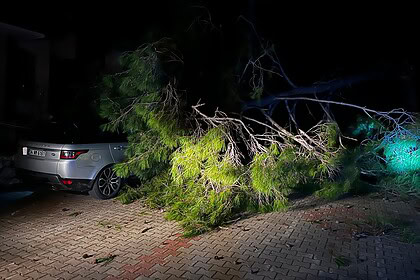 marmaris fırtına, marmaris, marmaris ağaç devrildi, marmaris hava durumu, marmaris şiddetli rüzgar